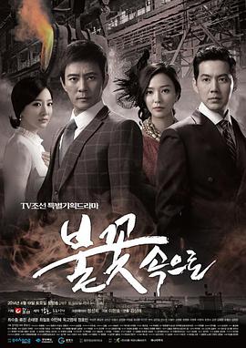 黄山seo网站优化哪家不错